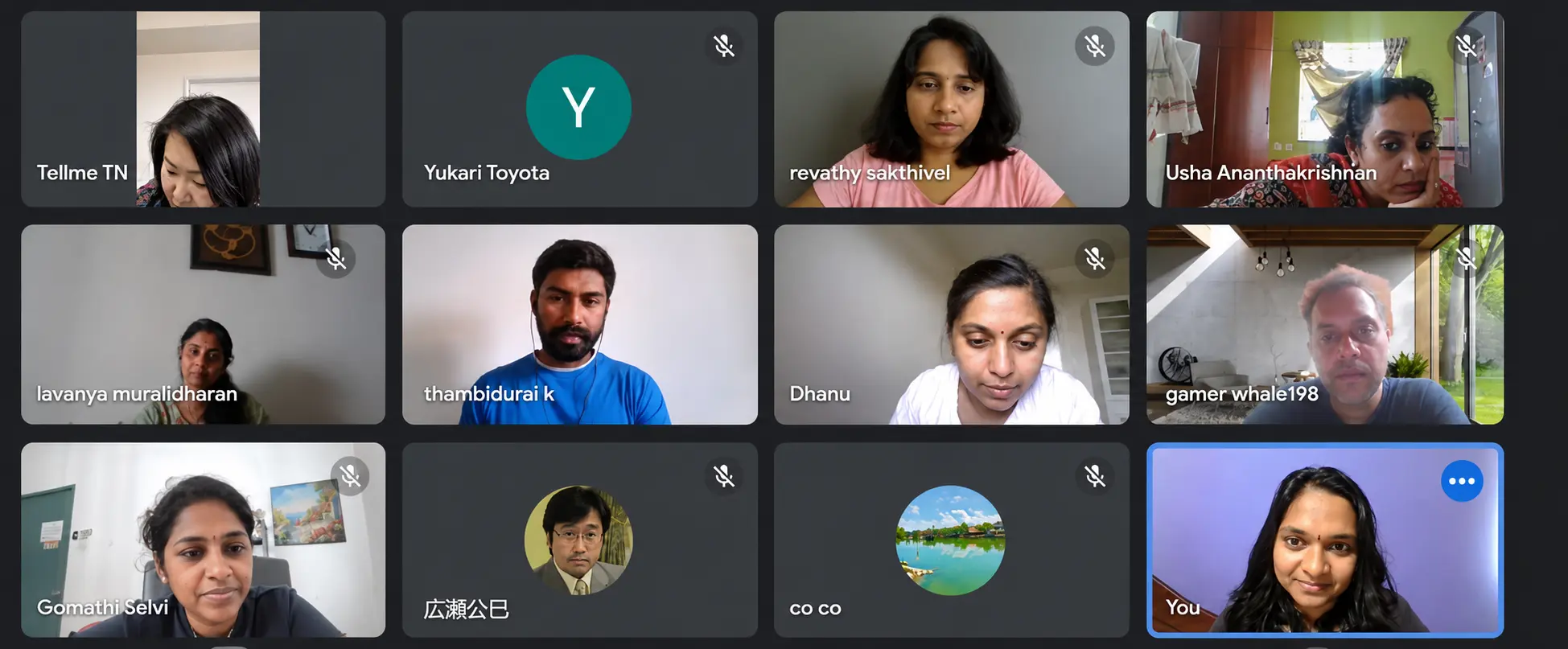 Adult learners video-chatting with Japanese guests in an online session